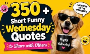 350-short-funny-wednesday-quotes-to-share-with-others